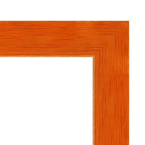 orange frame image
